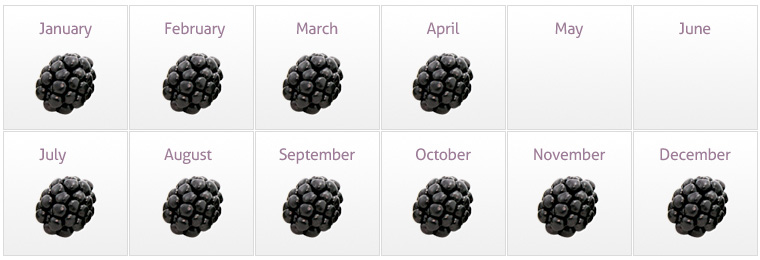 Availability Calendar