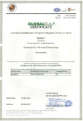 Global G.A.P. Certificate